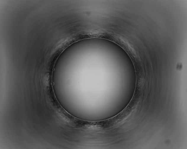 X0000102350689200808081155