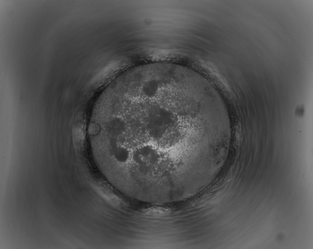 X0000102350691200808081155