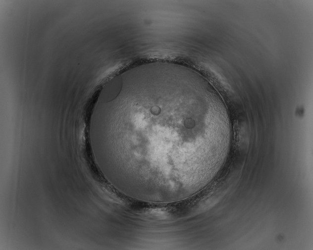 X0000102350692200808081155