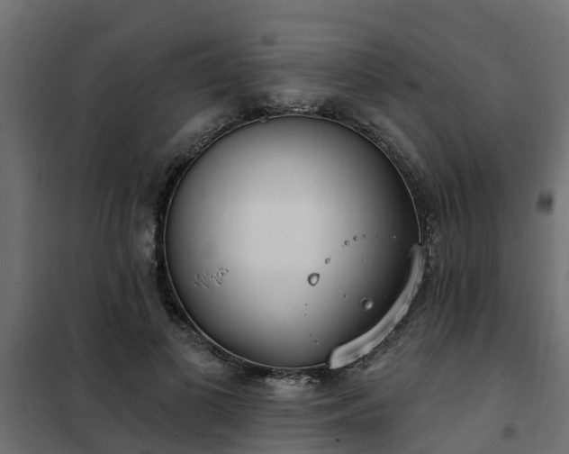 X0000102350693200808081155