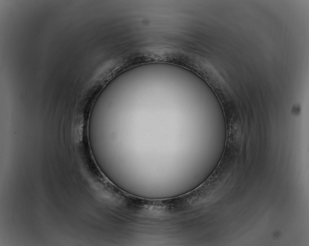 X0000102350694200808081155