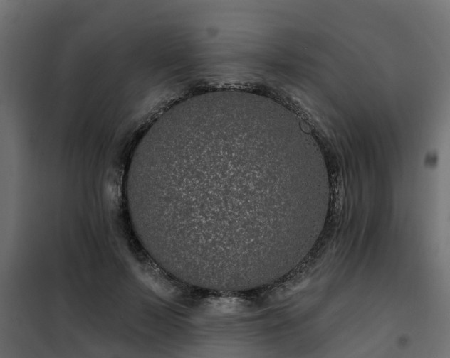 X0000102350695200808081155