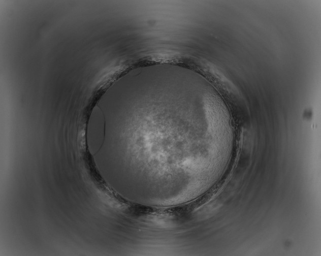 X0000102350696200808081155