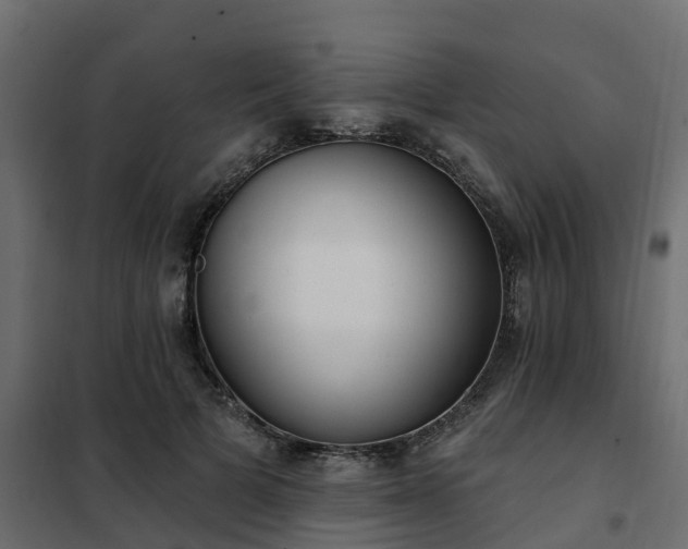 X0000102350697200808081155