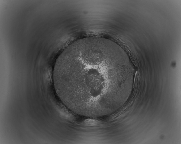 X0000102350699200808081155