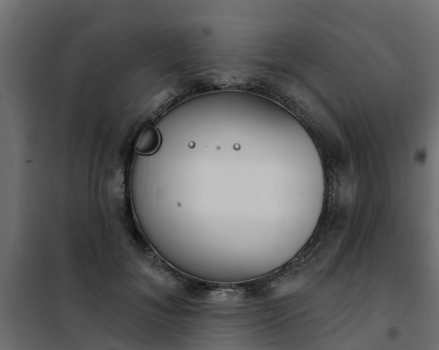 X0000102350700200808081155