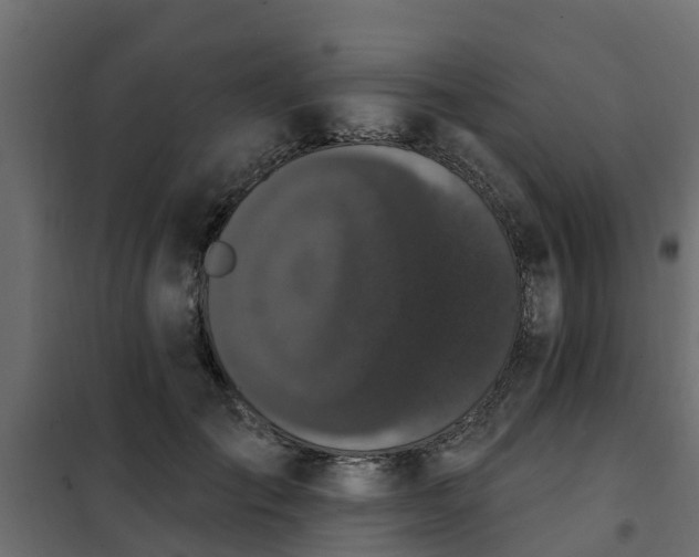 X0000102350701200808081155