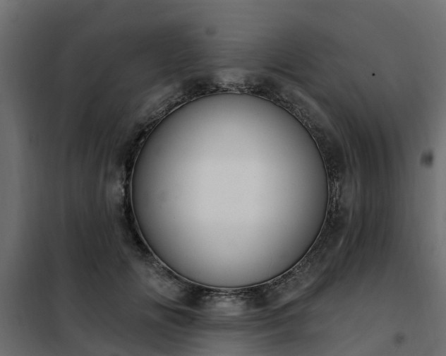 X0000102350702200808081154