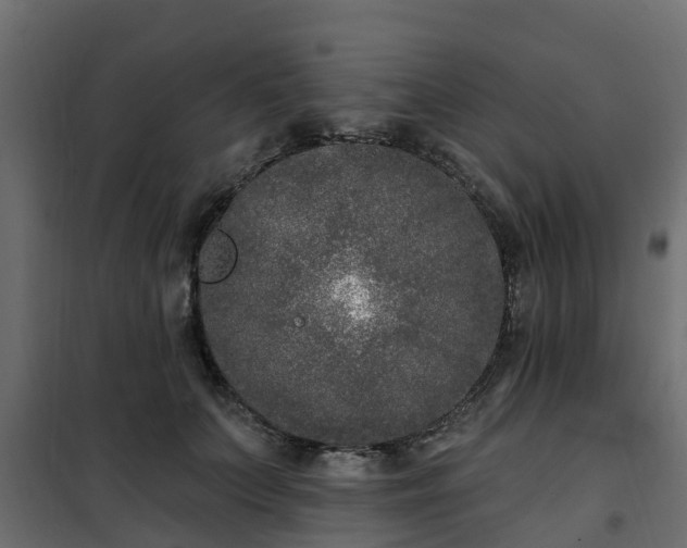 X0000102350703200808081154