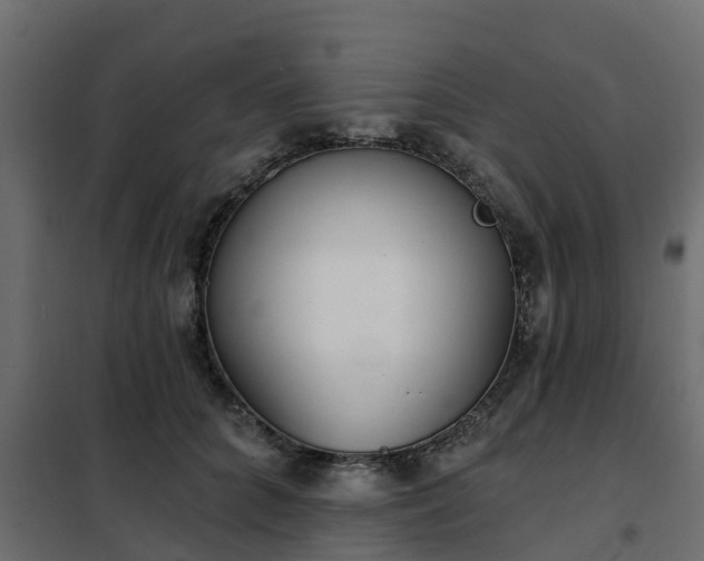 X0000102350704200808081154