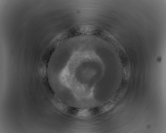 X0000102350705200808081154