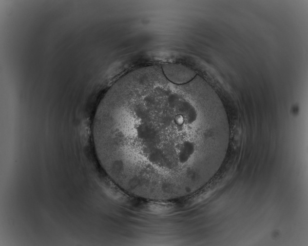 X0000102350707200808081154