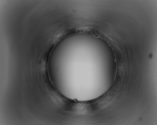 X0000102350708200808081154