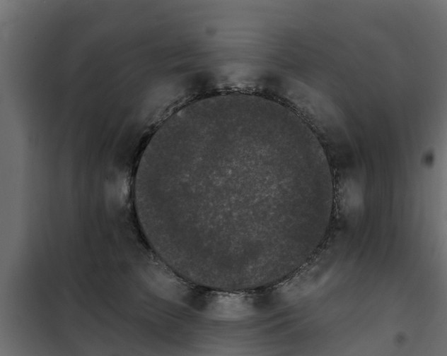 X0000102350709200808081154