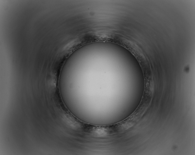 X0000102350710200808081154