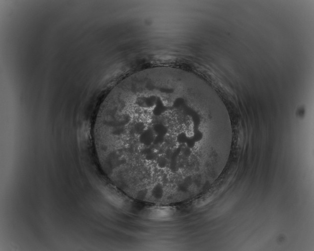 X0000102350711200808081154