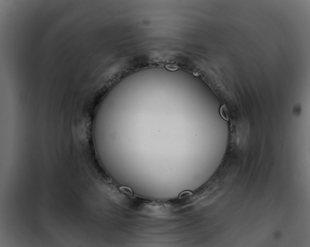 X0000102350712200808081154