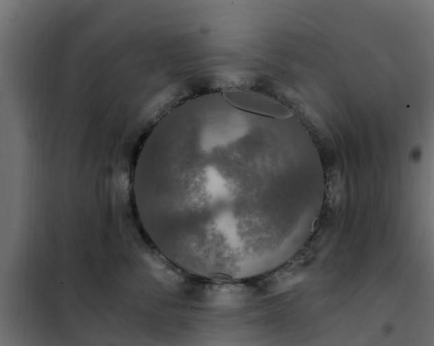 X0000102350716200808081154