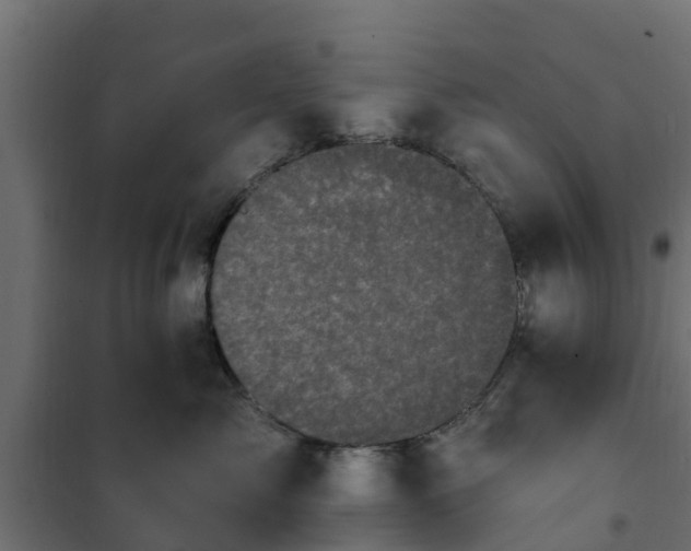 X0000102350717200808081154