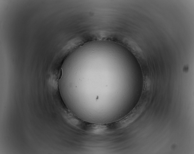 X0000102350719200808081154