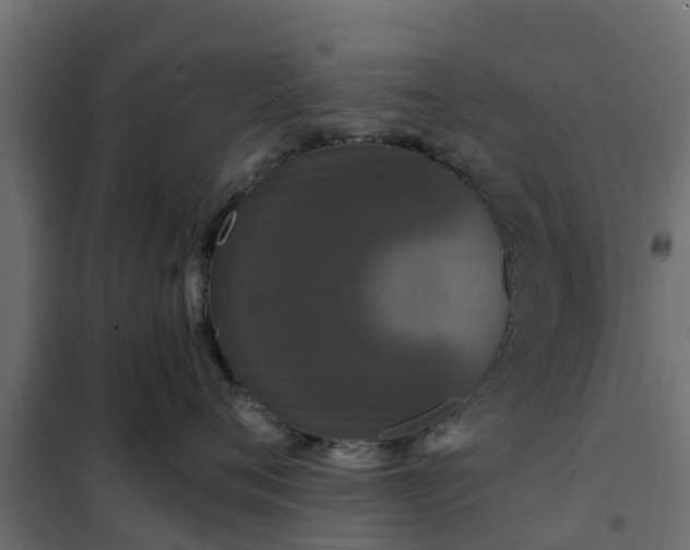 X0000102350720200808081154