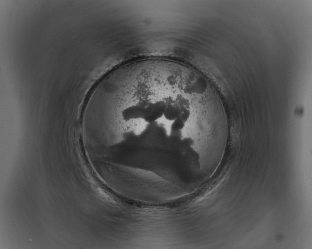 X0000102350721200808081154