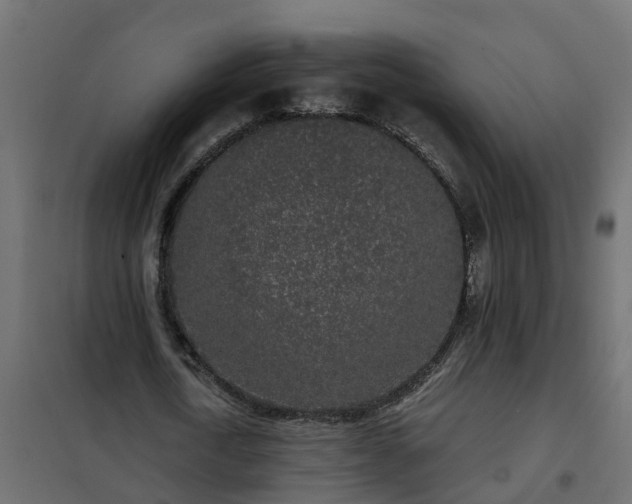 X0000102350722200808081154