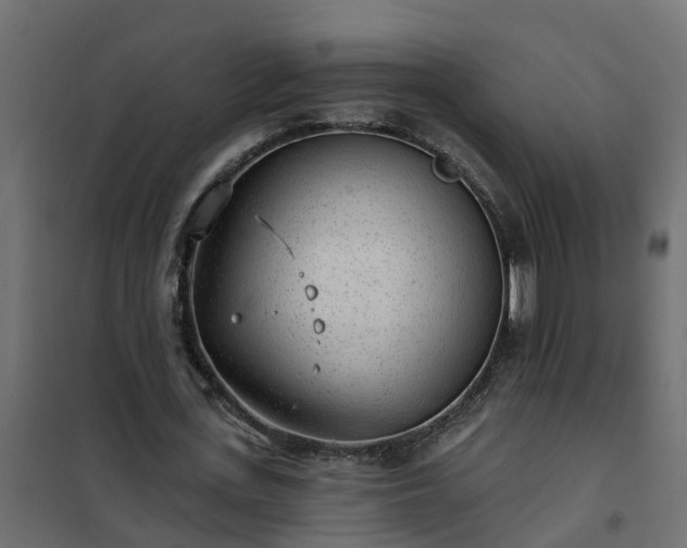 X0000102350723200808081154