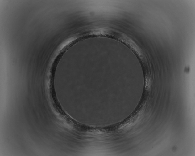 X0000102350724200808081154