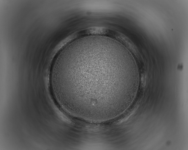 X0000102350725200808081154