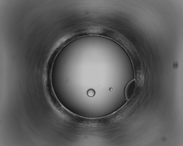 X0000102350726200808081154