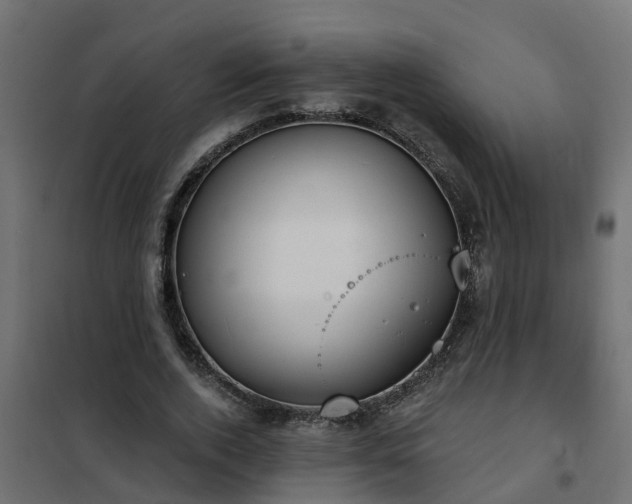 X0000102350728200808081154