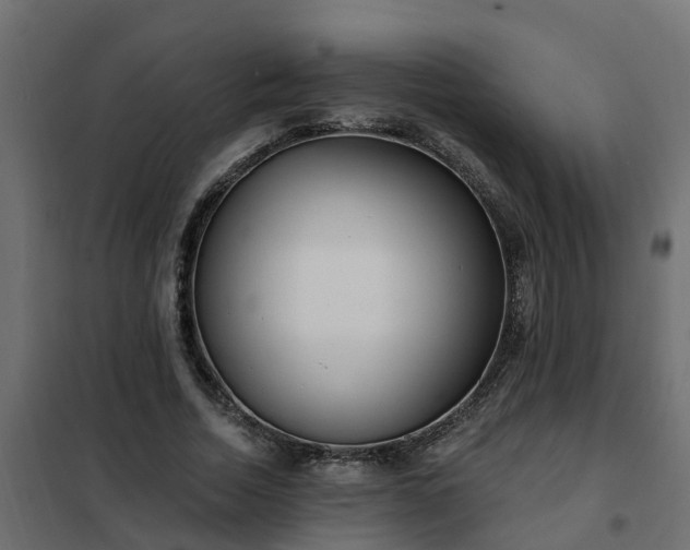 X0000102350730200808081154