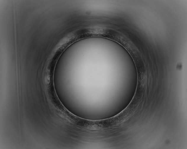 X0000102350731200808081154