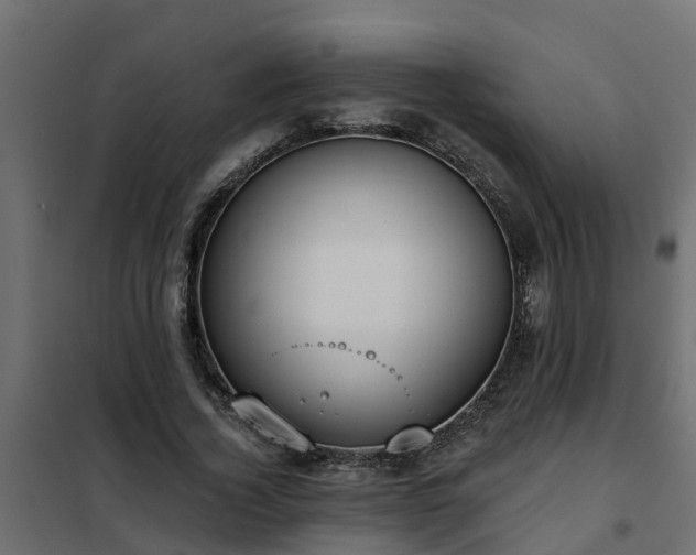 X0000102350732200808081154