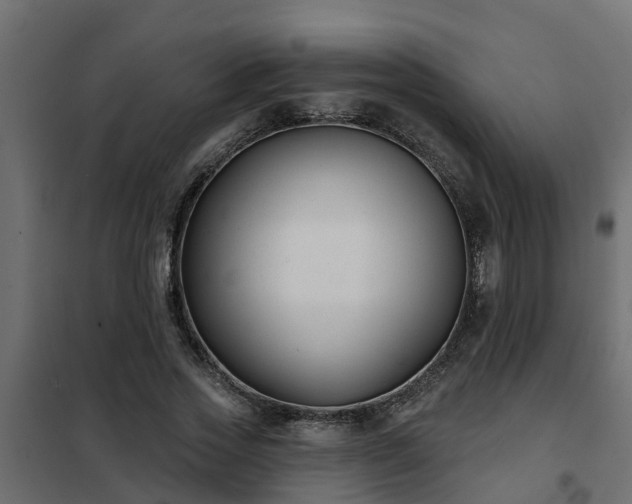 X0000102350733200808081154