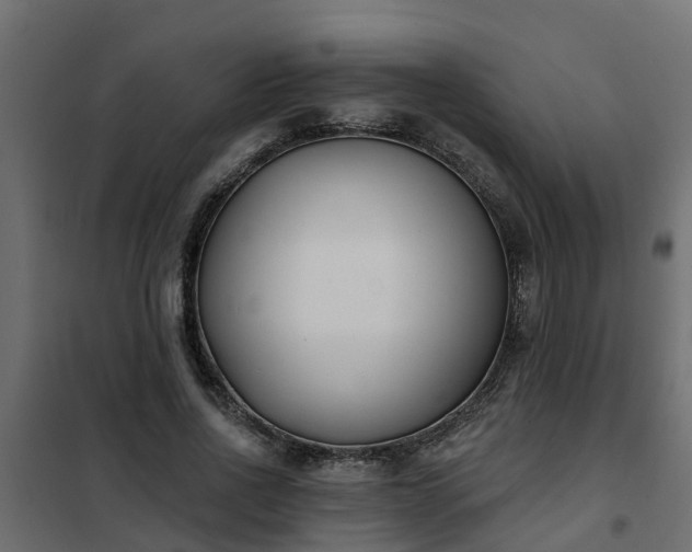 X0000102350734200808081154