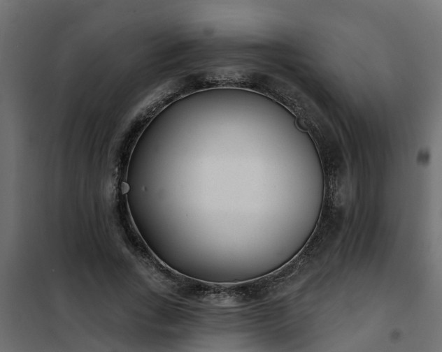 X0000102350735200808081154