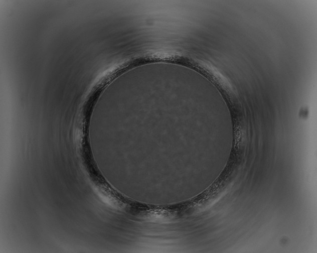 X0000102350736200808081154