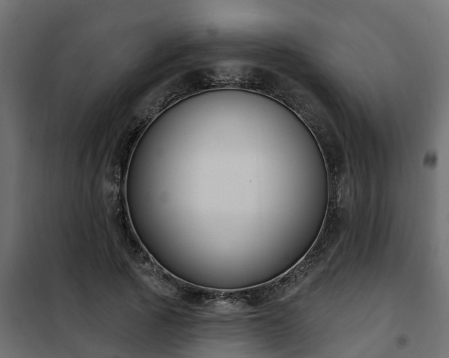 X0000102350737200808081154