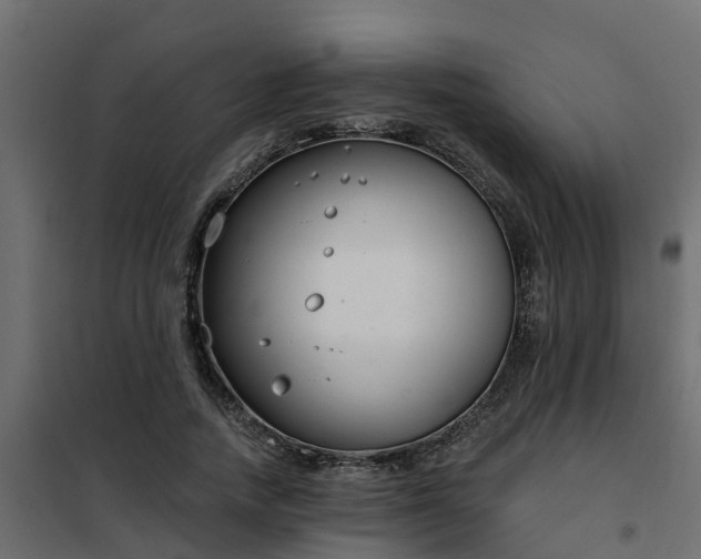 X0000102350738200808081154