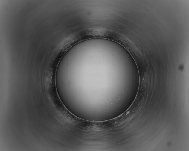 X0000102350739200808081154