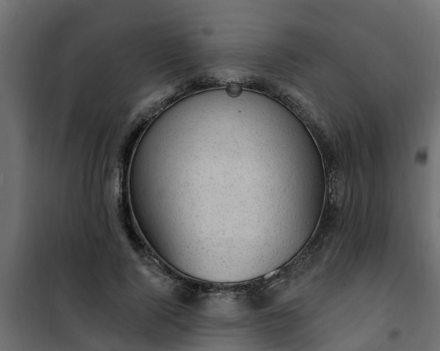 X0000102350740200808081154