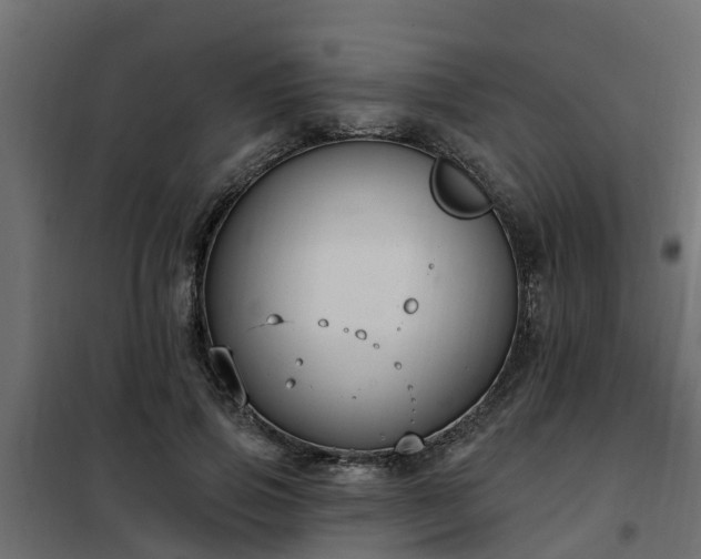 X0000102350741200808081154