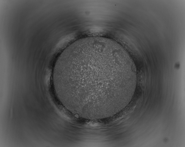 X0000102350742200808081154