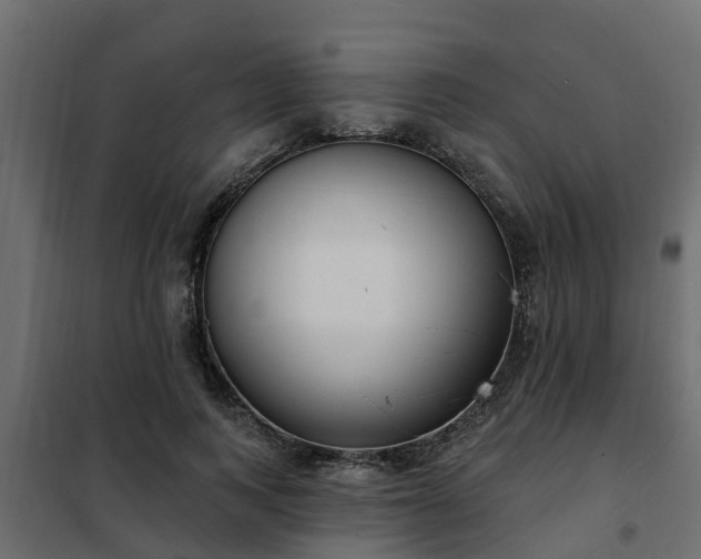 X0000102350743200808081154