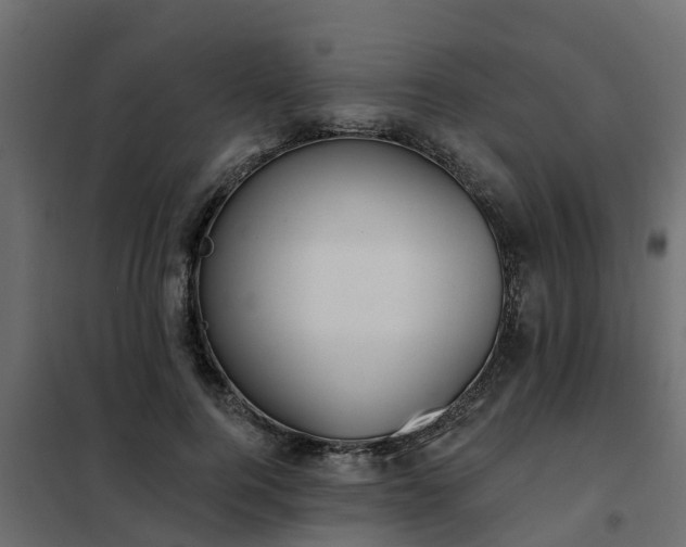 X0000102350744200808081154