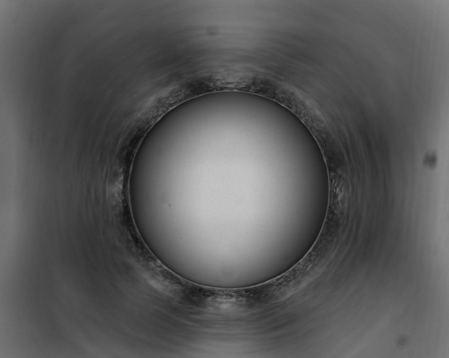 X0000102350745200808081154