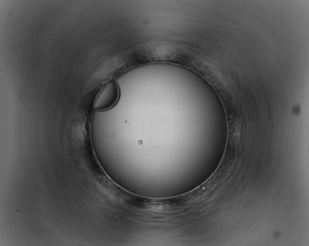 X0000102350746200808081154