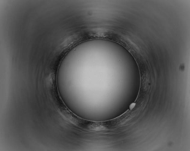 X0000102350747200808081154